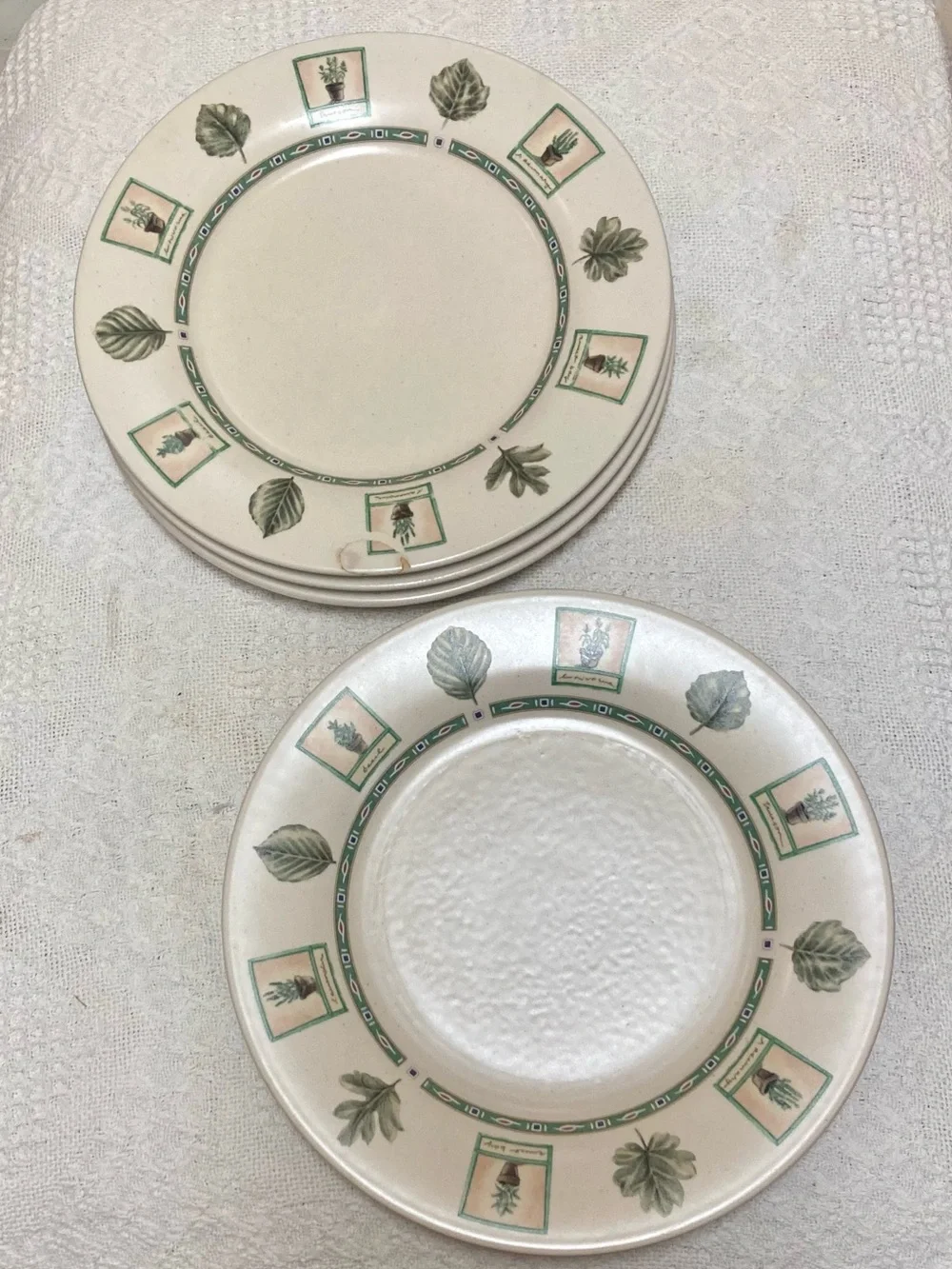 Pfaltzgraff Naturewood Green and Cream Botanical Dinner Plate 11” Set of 4